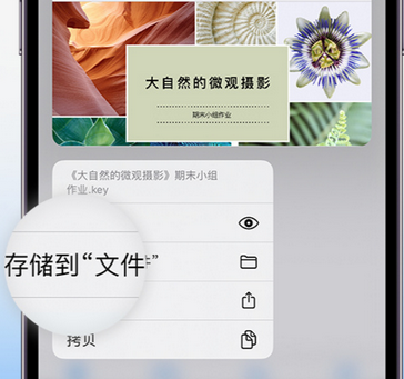 萧山apple维修中心分享iPhone文件应用中存储和找到下载文件