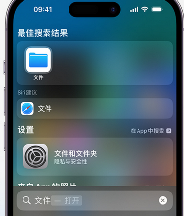 萧山apple维修中心分享iPhone文件应用中存储和找到下载文件