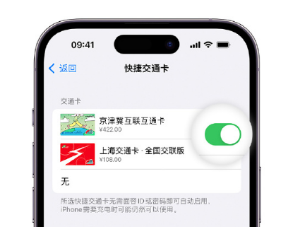 萧山apple维修点分享iPhone上更换Apple Pay快捷交通卡手绘卡面 