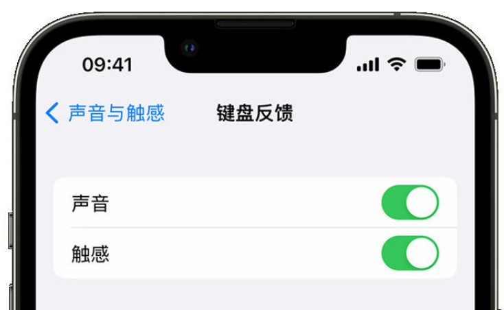 萧山苹果手机维修分享iPhone 14触感键盘使用方法 