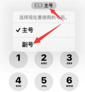 萧山苹果14维修店分享iPhone 14 Pro Max使用副卡打电话的方法 