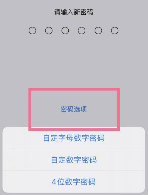 萧山苹果14维修分享iPhone 14plus设置密码的方法 