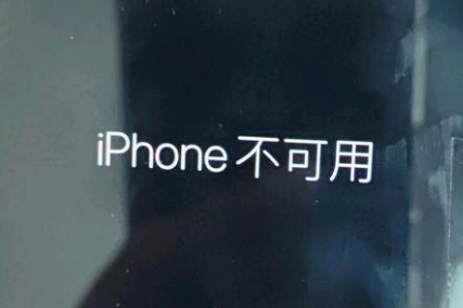 萧山苹果服务网点分享锁屏界面显示“iPhone 不可用”如何解决 