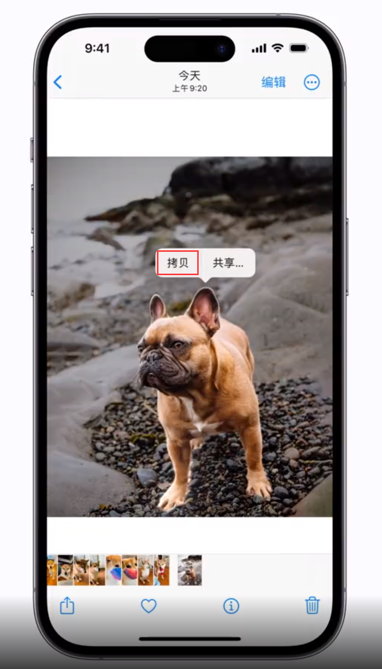 萧山苹果手机维修分享 iOS 16 自带一键抠图功能 