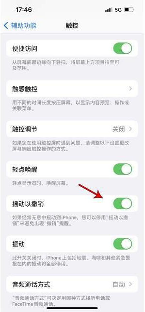 萧山苹果手机维修分享iPhone手机如何设置摇一摇删除文字 