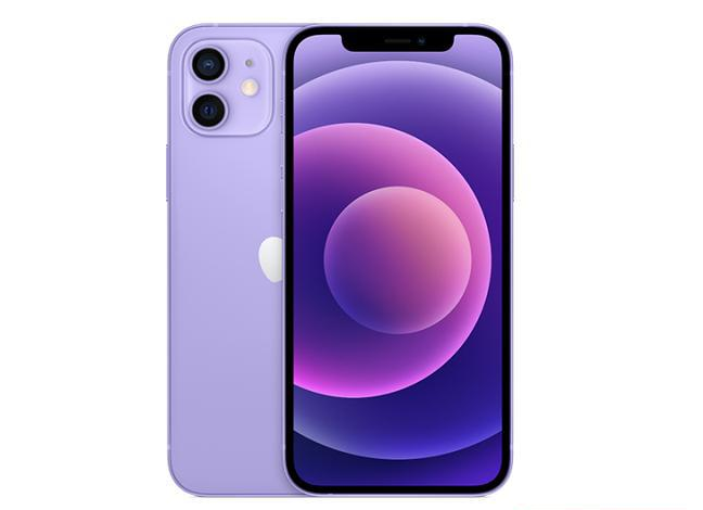 萧山苹果手机维修分享现阶段要不要入手紫色版iPhone12 