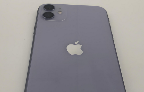 萧山苹果11系统维修分享iPhone11手机系统崩溃无法开机如何解决 